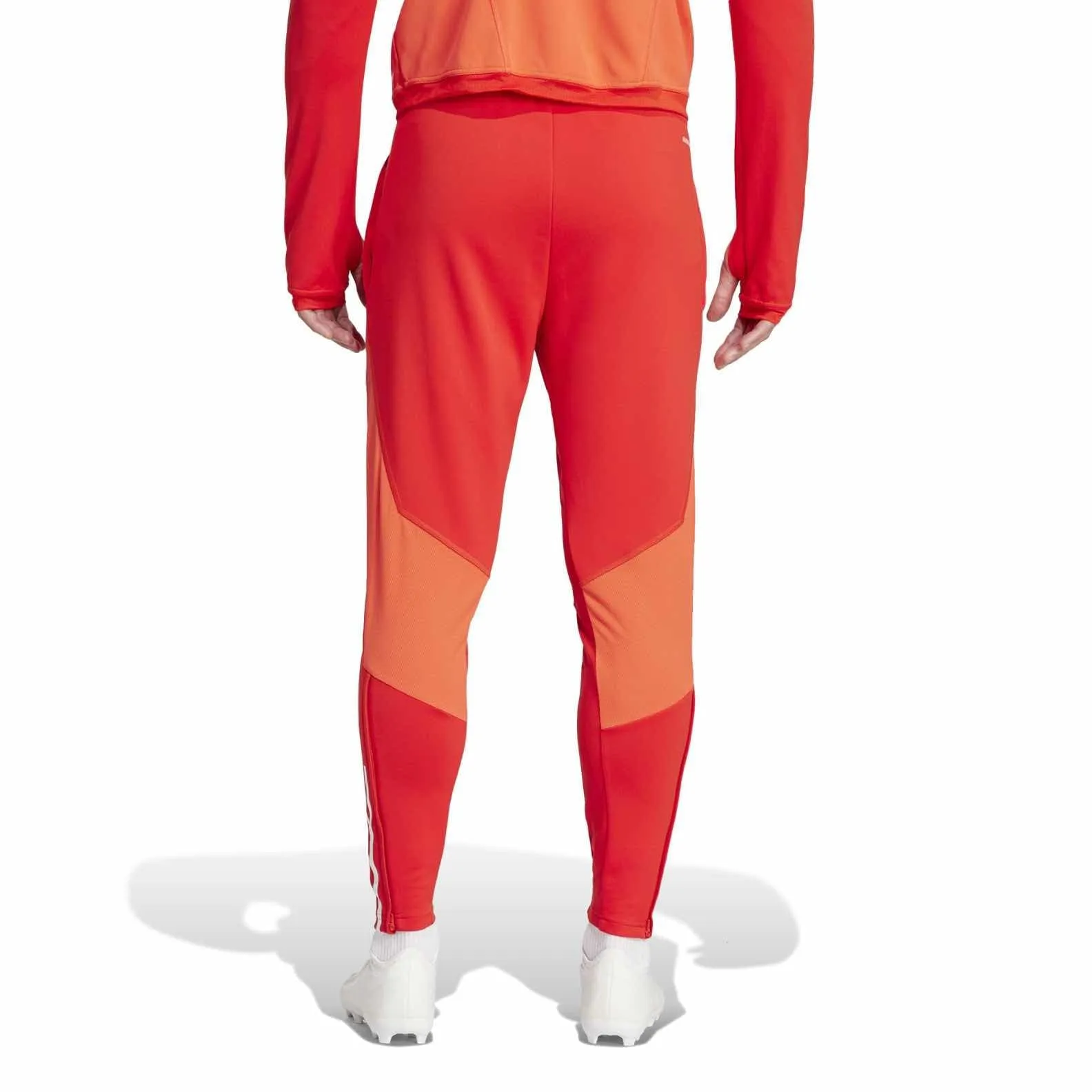 FC Bayern TIRO 23 Training Pants