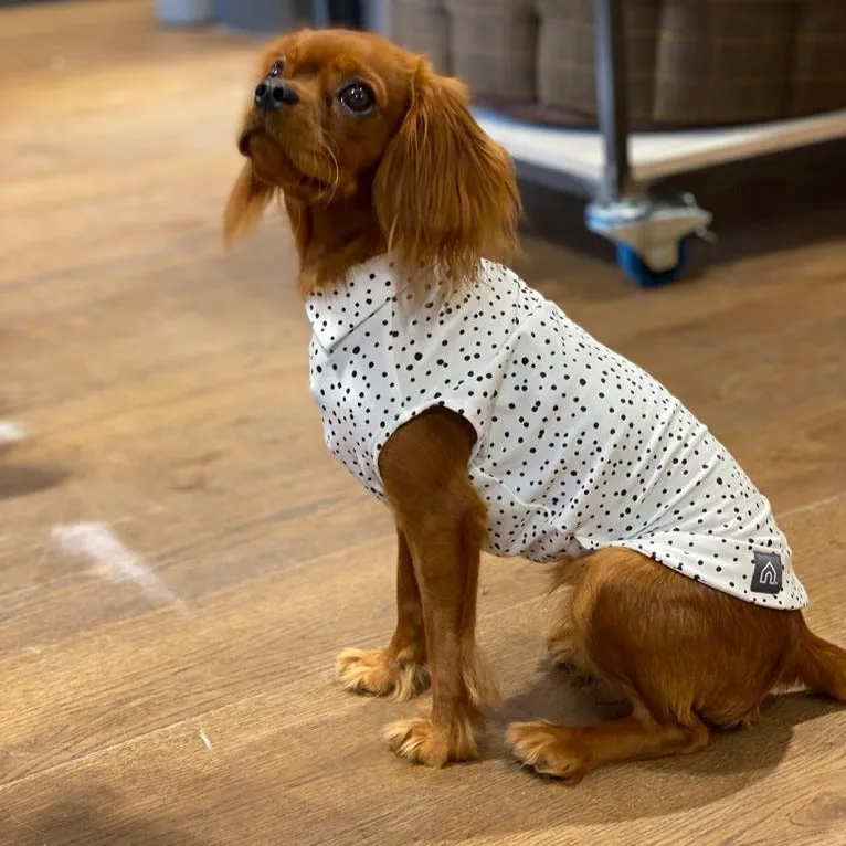 Spotty Summer T-Shirts for Dogs